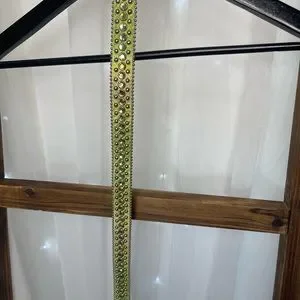 B.B. Simon | Accessories | Nwot Bb Simon Crystal Western  display picture 2
